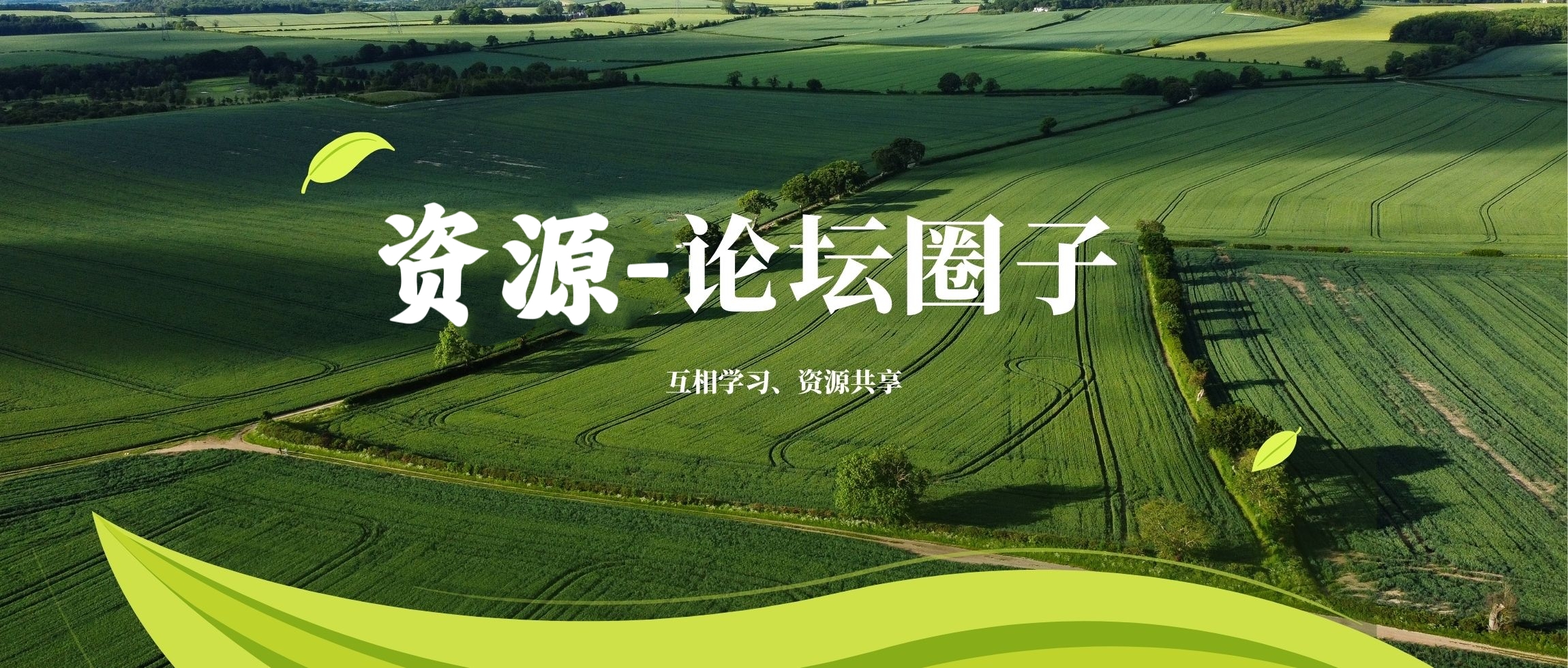 网创、教资资源获取